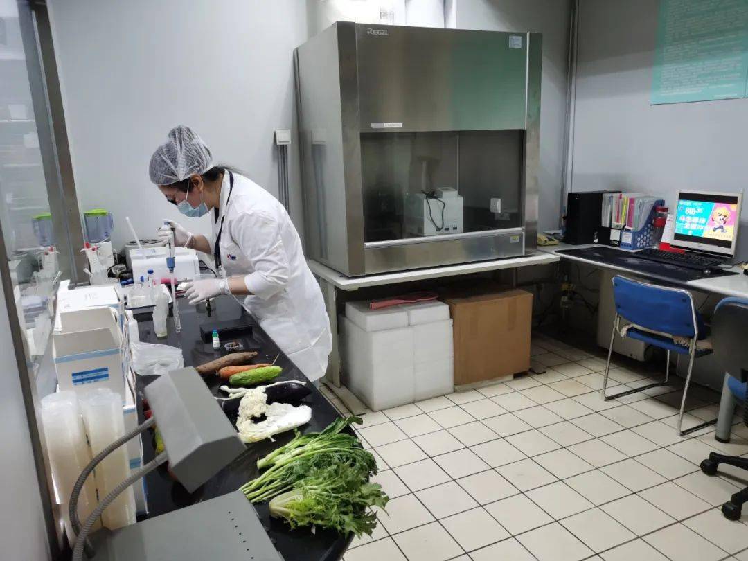 望城食品检测实验室装修方案
